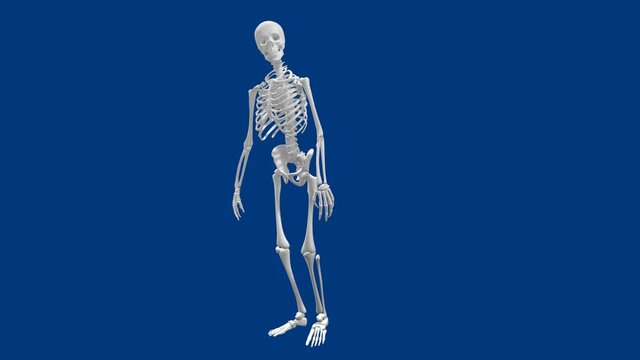 loitering skeleton checks watch while waiting for Halloween - 3d illustration animation