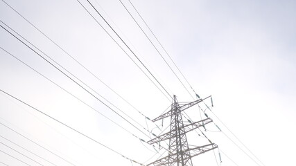 Electric power wires 