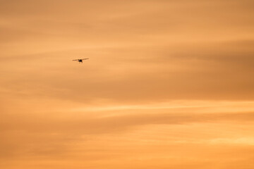 Avion au coucher du soleil