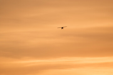 Avion au coucher du soleil