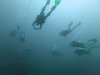 Grupo grande de submarinistas buceando juntos 