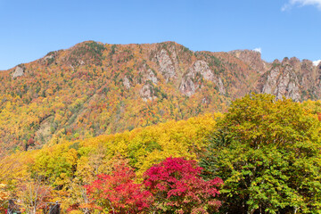 北海道の層雲峡の紅葉