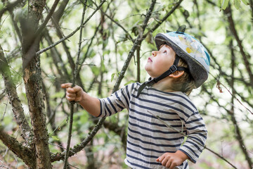 portrait petit garçon dans un arbre