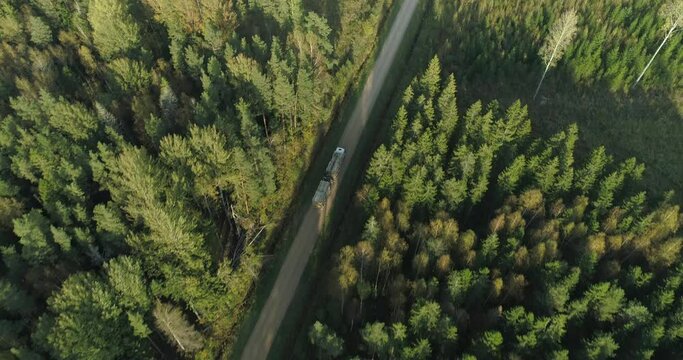 Timber truck carring logs driving on dirt road in forest aerial view