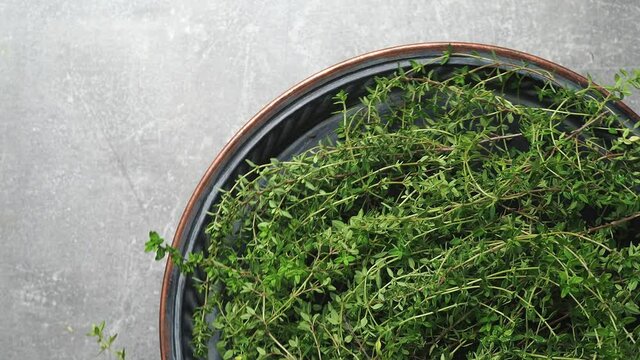 Rotating metal bowl with pile of fresh harvested thyme  - thymus vulgaris. Overhead shot. 4K footage.