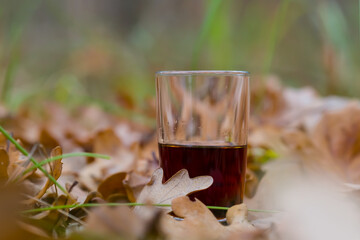 closeup wine glass stay among dry leaves in a forest, natural drink scene