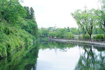Fototapeta na wymiar 仙台の自然公園