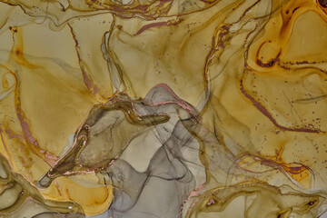 Fluid Art . Modern Abstract colorful background, wallpaper. Mixing acrylic paints. Marble texture. Alcohol ink colors  translucent