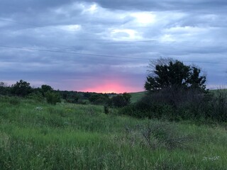 sunset over the field