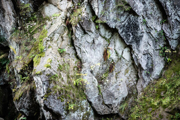 Large rocks in the mountains with texture and moss in the humid forest