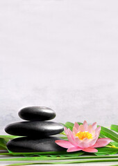 Fototapeta na wymiar Stack of grey massage stones on grey background and lotus flower.