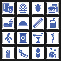 16 pack of meals  filled web icons set