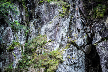Large rocks in the mountains with texture and moss in the humid forest