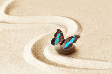 Fototapeta na wymiar zen garden meditation stone background and butterfly with stones and lines in sand for relaxation balance and harmony
