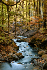 Deep forest autumn creek waterfall. Autumn nature landscape. Autumn forest creek view. Creek deep in mountain forest in Hungary Europe