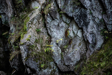 Large rocks in the mountains with texture and moss in the humid forest