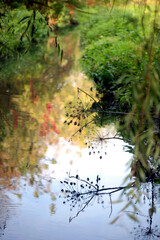River landscape on nature background