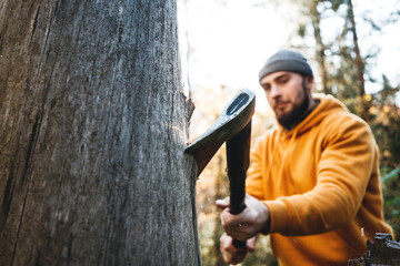 Strong lumberjack tree in wood with sharp ax, close up axe, wood chips fly.