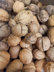 lots of walnuts in their shells . background from the nuts