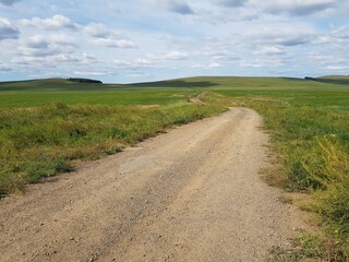 Country road in a green field