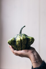 person holding a green pumpkin
