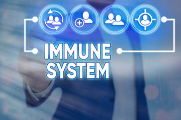 Word writing text Immune System. Business photo showcasing a bodily system that protects the body from foreign substances Information digital technology network connection infographic elements icon