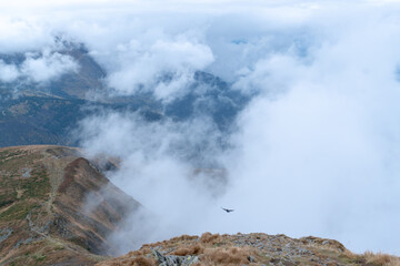 A bird flying over the mountains. Steaming mountains. A black bird flies in white clouds on top of the mountains