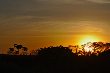 Sunrise In Brazilian Farm
Very beautiful, the sunrises in brazilian savannah has many colors.