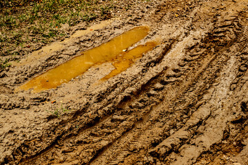 traces of cars in the mud
