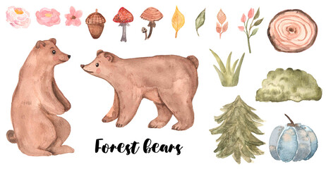Cute cartoon watercolor forest animal set. Hand painted lovely baby bear illustration perfect for baby shower,print and card making. Woodland wild brown bear and plants, wood slice