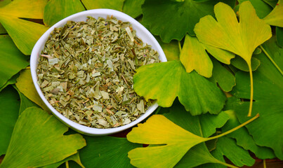 Ginkgo     homöopathie
