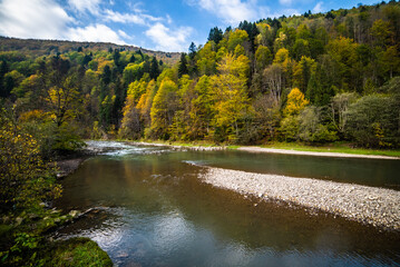 Mountain rapid river through the autumn forest