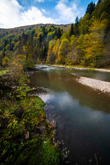 Rapid mountain river with stones through the autumn forest