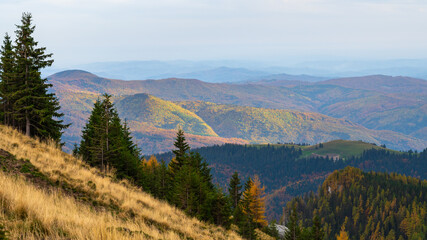 Hügellandschaft in rumänischen Karpaten