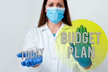 Handwriting text Budget Plan. Conceptual photo financial schedule for a defined period of time...