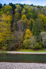 Rapid mountain river with stones through the autumn forest