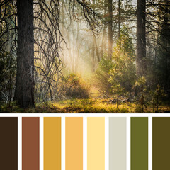 Yosemite palette