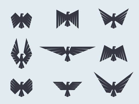 Set eagles and hawks. Eagle logo vector template.