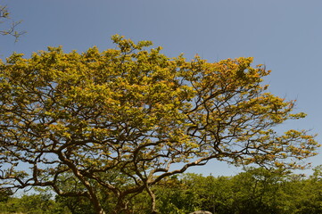 Hiking in the mountains, volcanoes and lava tunnels of Jeju Island, South Korea