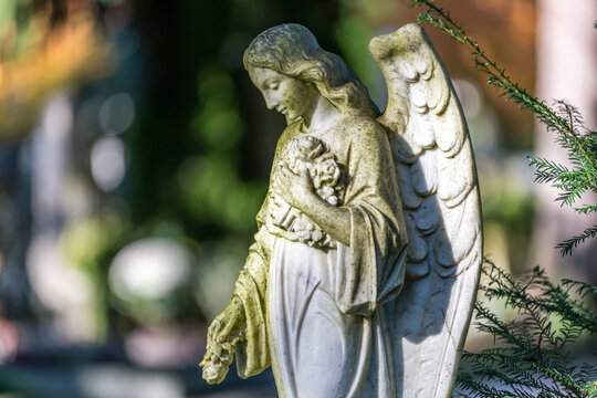 angel on a grave Allerheiligen Friedhof Statue