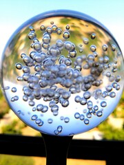 water drops on the tree