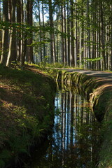 Schwarzenberg canal near Nova Pec,Prachatice District,South Bohemian Region,Czech republic,Europe
