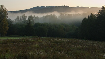 Fototapeta na wymiar Fog on sunrise in Nova Pec,Bohemian Forest,Prachatice District,South Bohemian Region,Czech republic,Europe 
