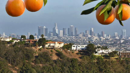 View of downtown Los Angeles, California seen from the Hollywood Hills