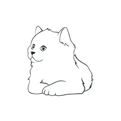 Cat doodle - animal cute pet kitty drawing sketch domestic feline adorable friendly mammal fur love playful mascot vector illustration paw indoor cozy comfort relax