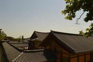 Naklejka premium Exploring the beautiful and colorful Buddhist temples of South Korea