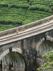 Fototapeta premium Ella train Sri lanka