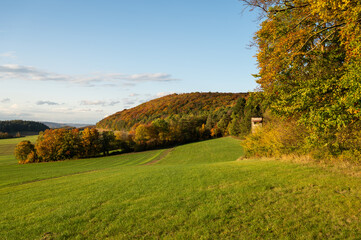 Herbstwald