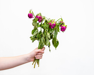 bouquet of wilted roses in hands