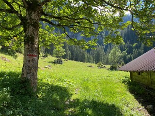 Mountaineering signposts and markings along the waterfalls Giessbach Falls (Giessbachfälle oder...